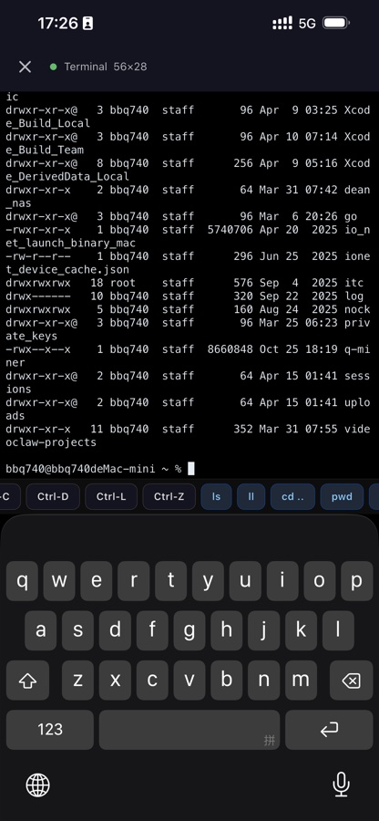 PTY terminal on phone